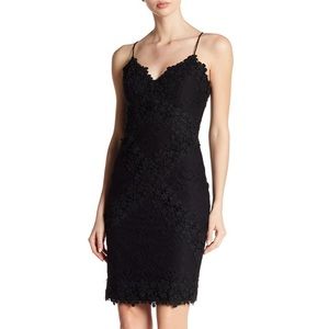 NWT Atelier Nicole Miller Lace Mini Dress
